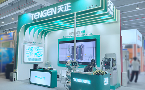 First Day at Canton Fair for TENGEN Electric